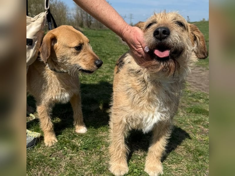 Plusz und Minusz, 2 Brüder, die gerne gemeinsam weiter durch das Leben gehen würden.