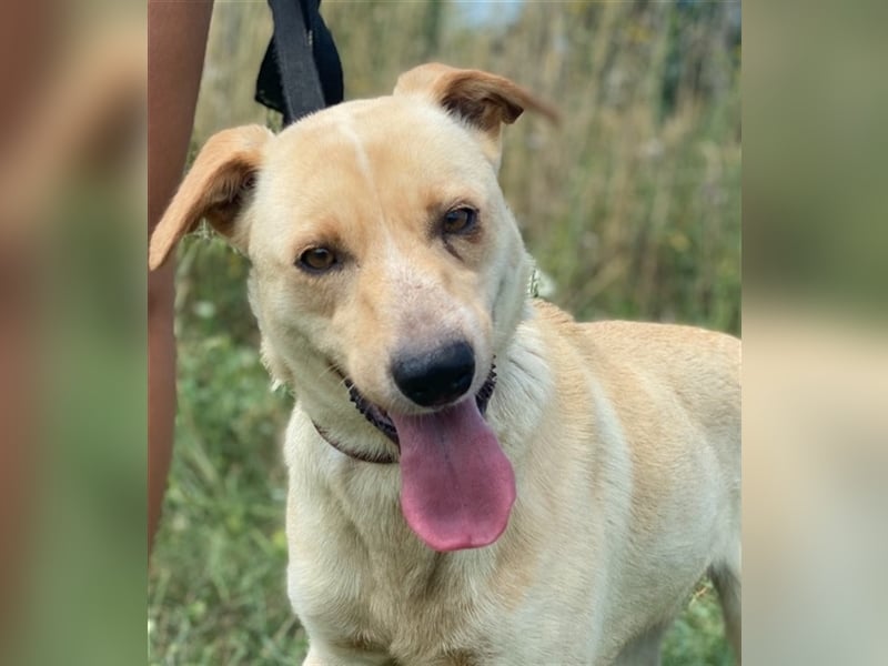 Der hübsche Milo hat eine unbeschreiblich schlechte Vergangenheit, die er gerne hinter sich lassen m