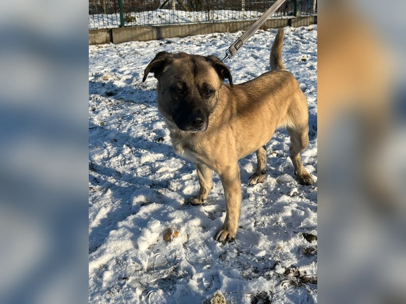 Benedek hat zusammen mit seiner Freundin Patti sein Zuhause verloren !
