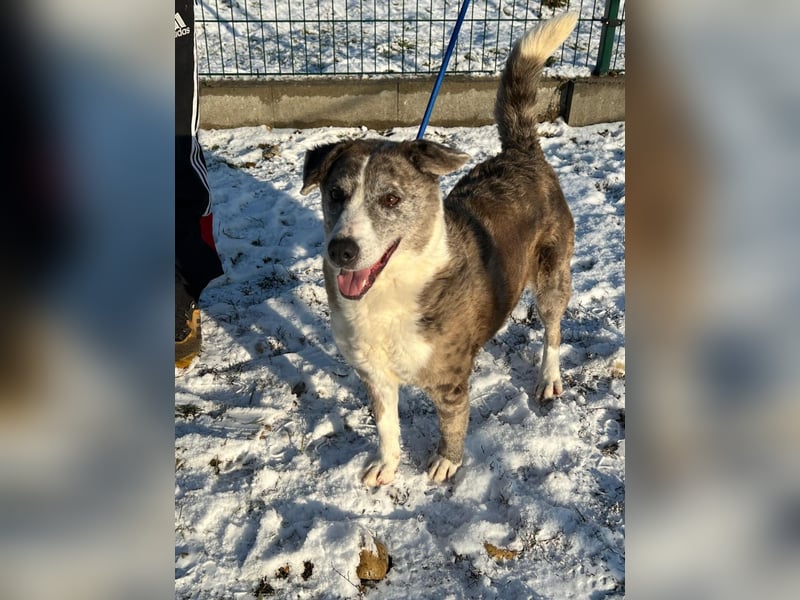 Patti und ihr Partner Benedek haben leider ihr Zuhause verloren !