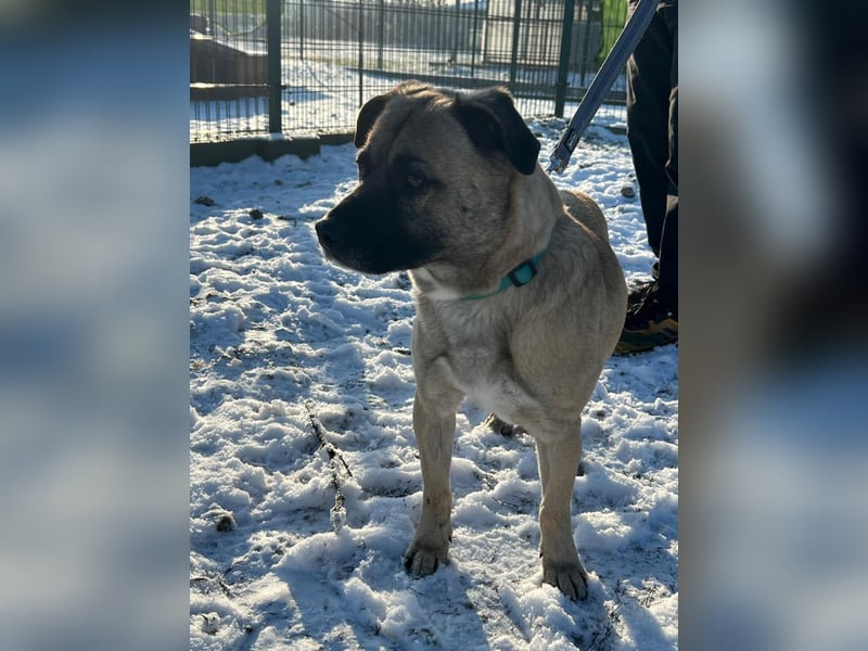 Benedek hat zusammen mit seiner Freundin Patti sein Zuhause verloren !