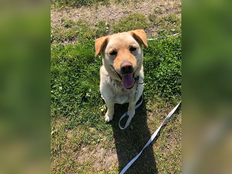 Wer hilft Zsemle, Menschen wieder zu vertrauen?