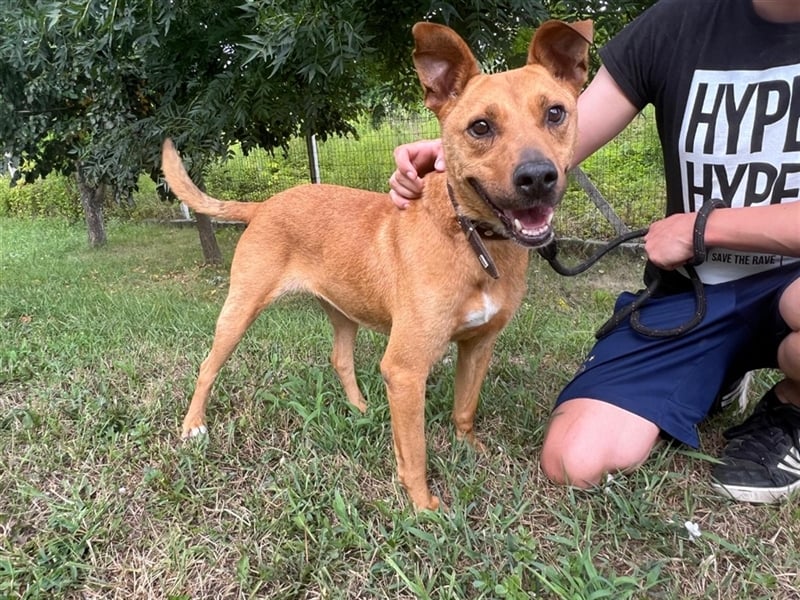 Babett sucht noch einmal ein liebevolles und fürsorgliches Zuhause