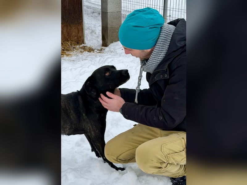 Füli möchte gerne Einzelprinzessin bei ihren Menschen sein !