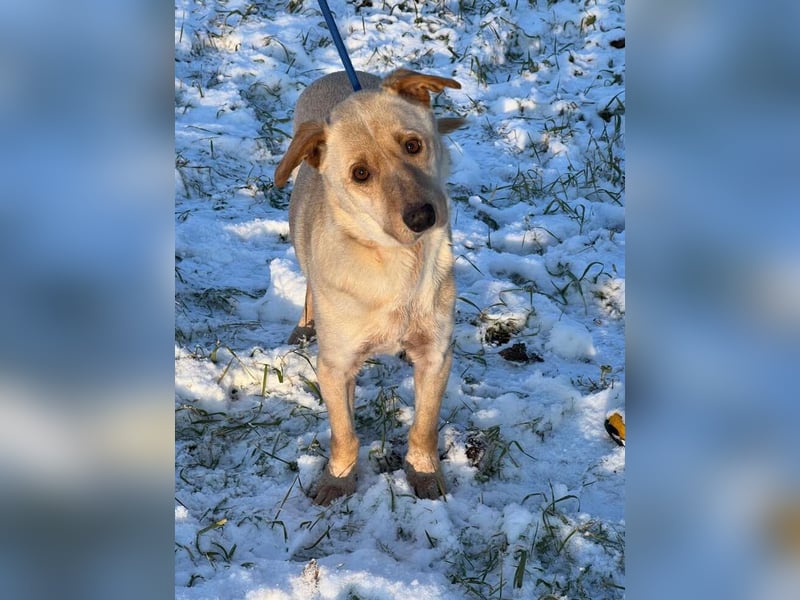 Der hübsche Milo hat eine unbeschreiblich schlechte Vergangenheit, die er gerne hinter sich lassen m