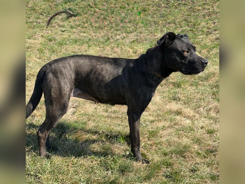 Füli möchte gerne Einzelprinzessin bei ihren Menschen sein !