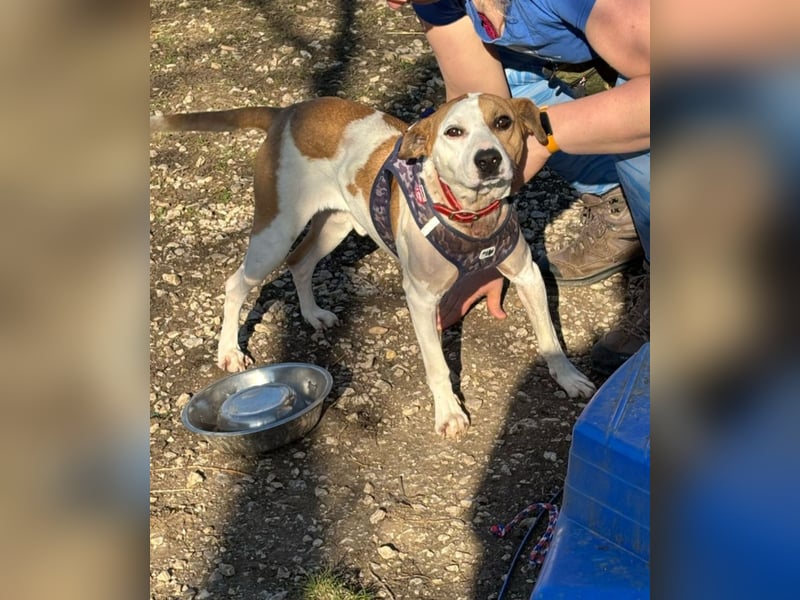 Der schöne Timo hat ein schlimmes Schicksal !