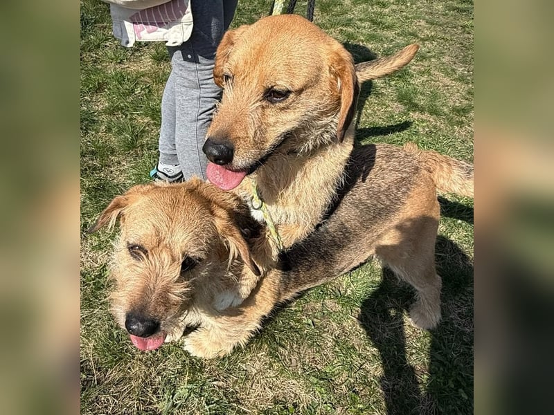 Plusz und Minusz, 2 Brüder, die gerne gemeinsam weiter durch das Leben gehen würden.
