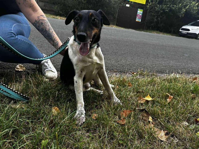 WEr verliebt sich in den lieben, hübschen Bonus ?