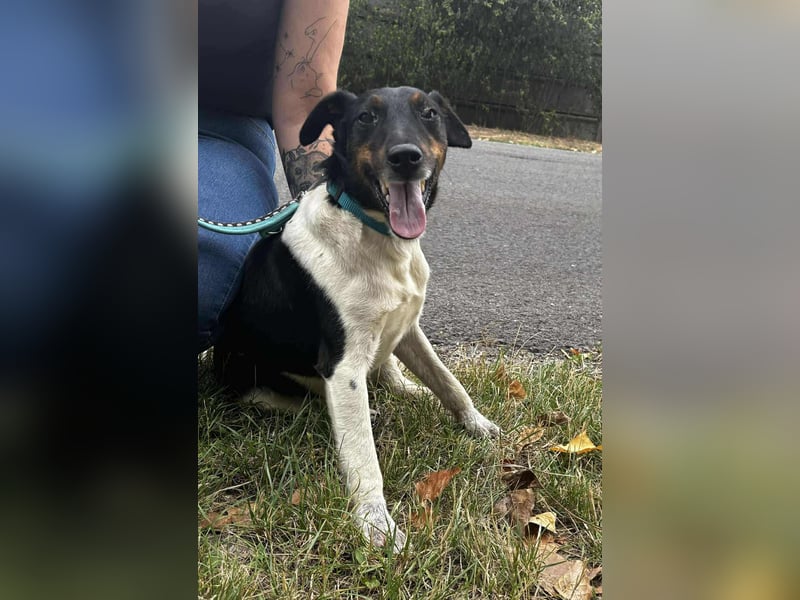 WEr verliebt sich in den lieben, hübschen Bonus ?