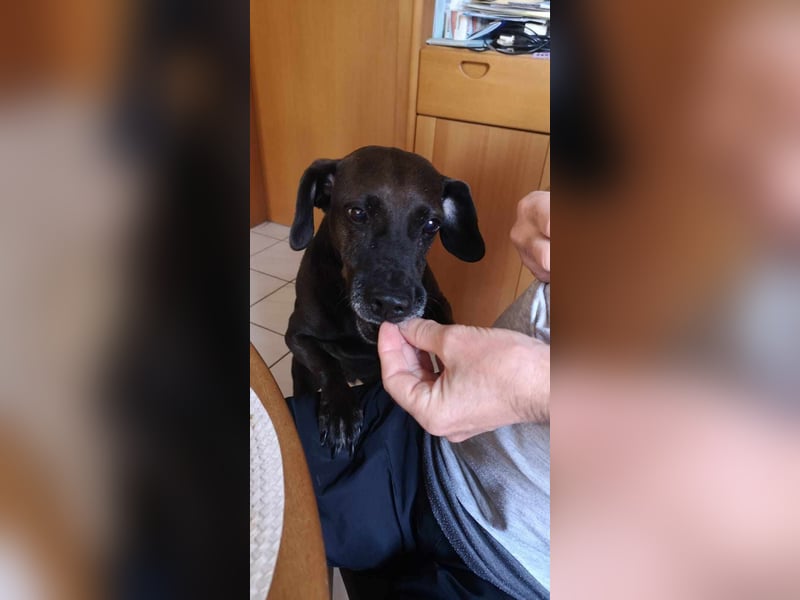 Notfall Nessi wartet auf einer Ps in 53842 Troisdorf !