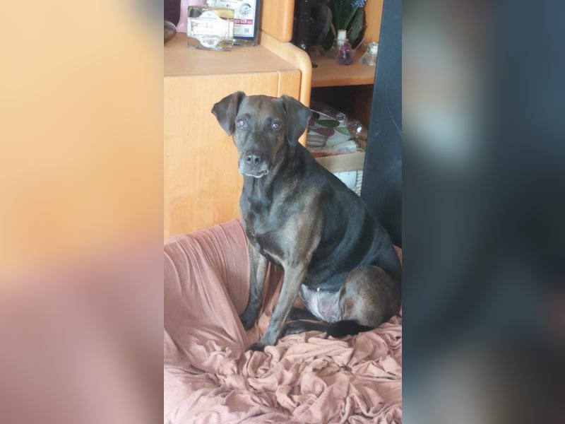 Notfall Nessi wartet auf einer Ps in 53842 Troisdorf !