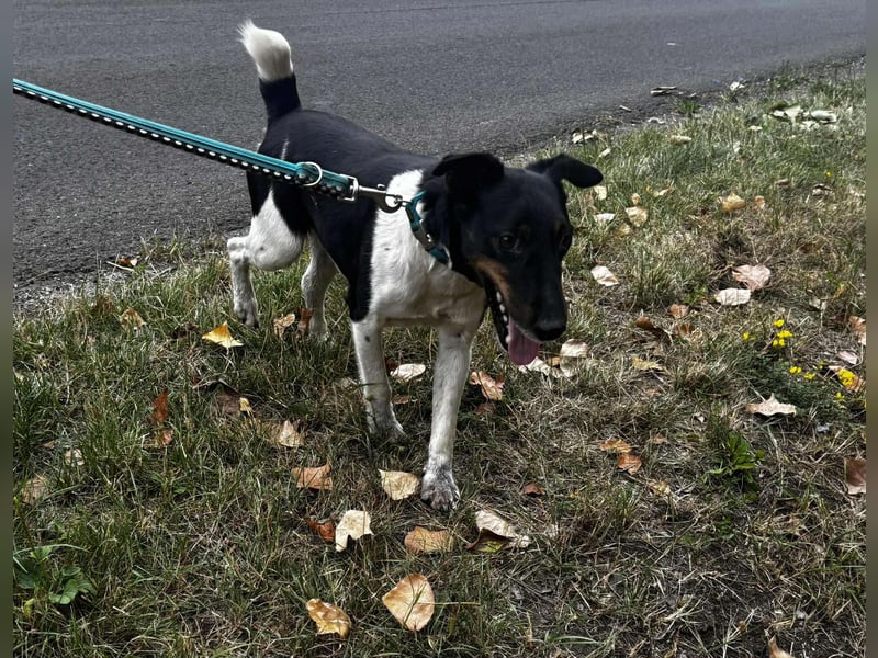 WEr verliebt sich in den lieben, hübschen Bonus ?