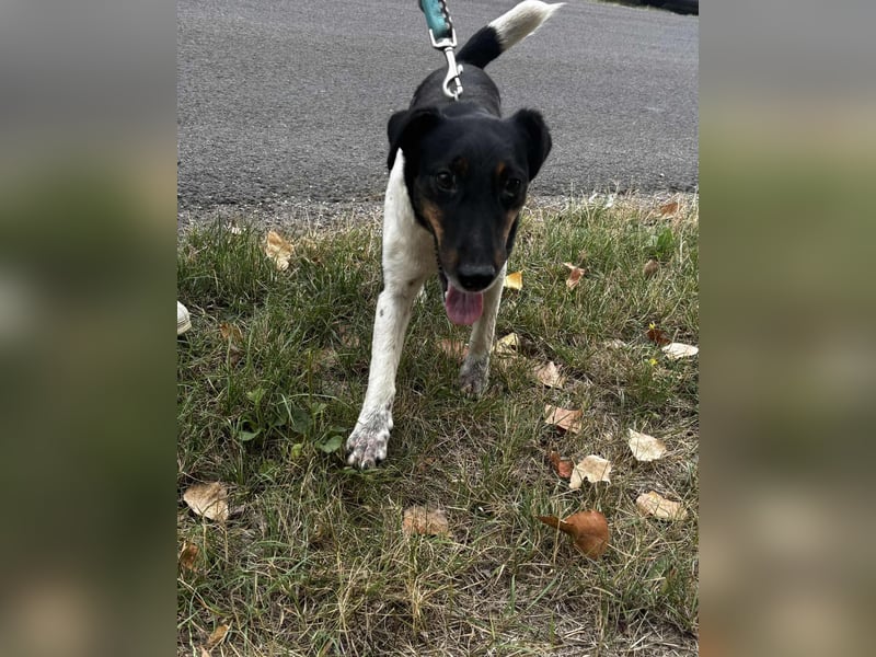 WEr verliebt sich in den lieben, hübschen Bonus ?