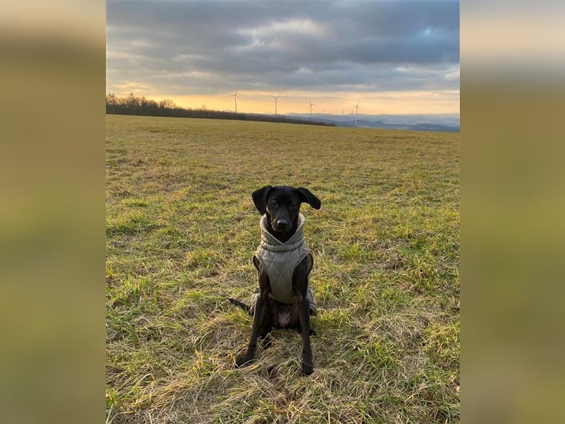 Die aktive Luna wartet auf einer PS in 53842 Troisdorf !