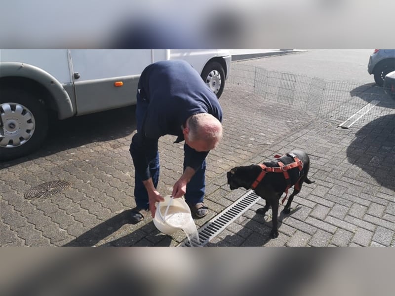 Notfall Nessi wartet auf einer Ps in 53842 Troisdorf !