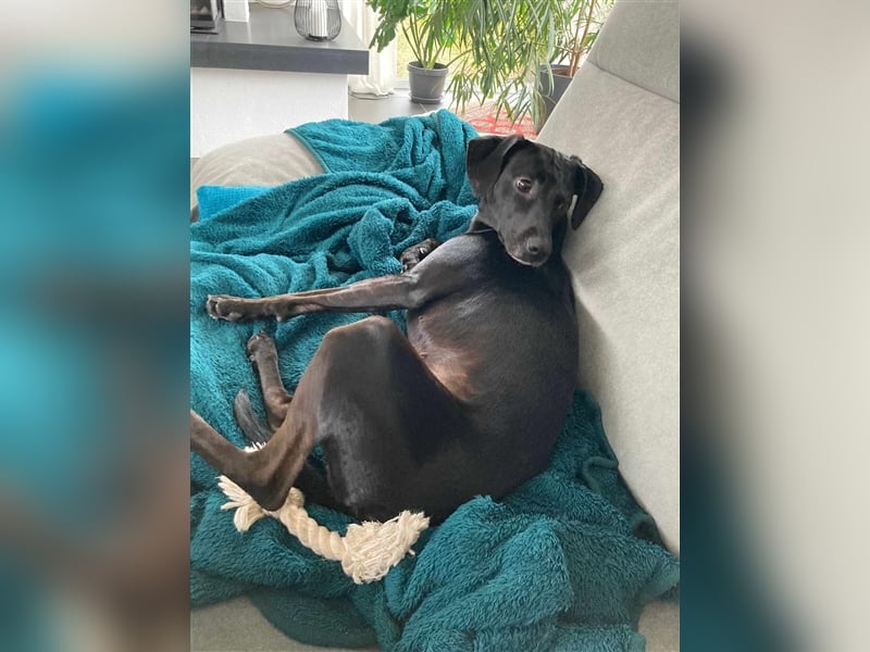 Die aktive Luna wartet auf einer PS in 53842 Troisdorf !