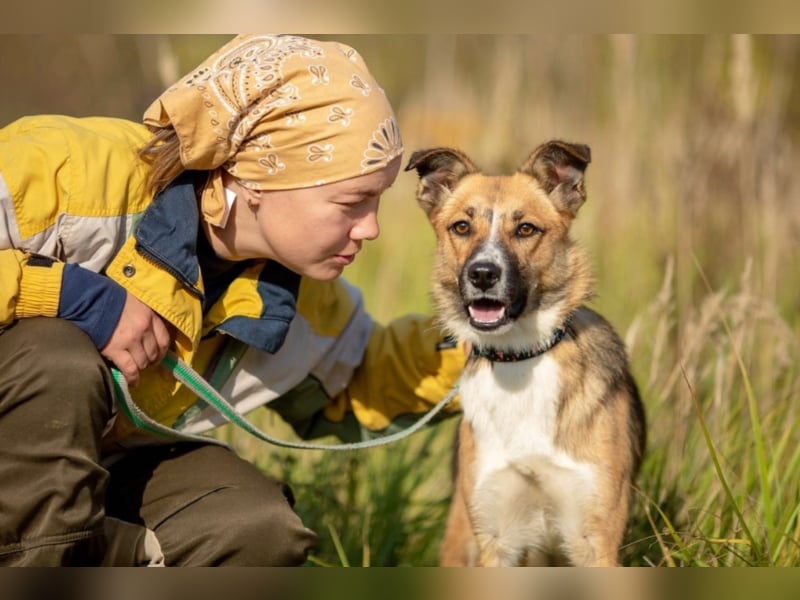 Alischa, ca. 1 Jahr, zierliche, sanfte Hündin
