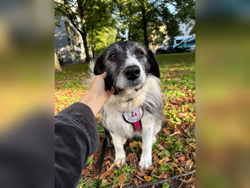 liebevolle Seniorin NESCHA