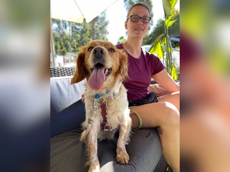 Petra (Spanien) – kleine Bretonen-Dame mit großem Herz