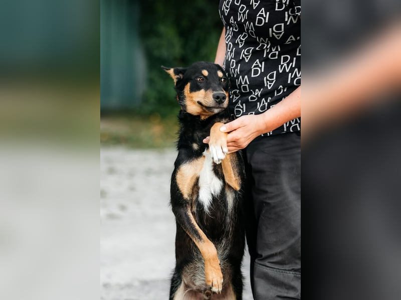 Fröhlicher Czar sucht seine Familie