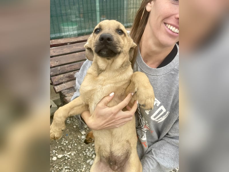 Snoop – kleiner Sonnenschein auf der Suche nach seinem Platz