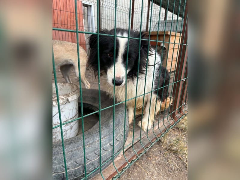 Besonderer Benny sucht liebevolles Zuhause