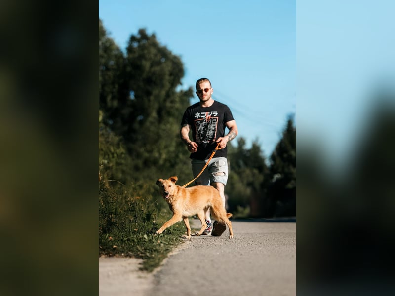 Wunderbare Dina sucht ihre Familie
