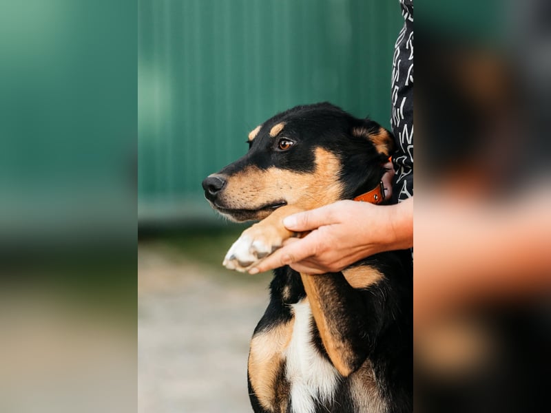 Fröhlicher Czar sucht seine Familie