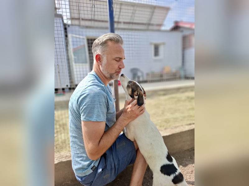 Kleiner Jampa sucht sein Happy End