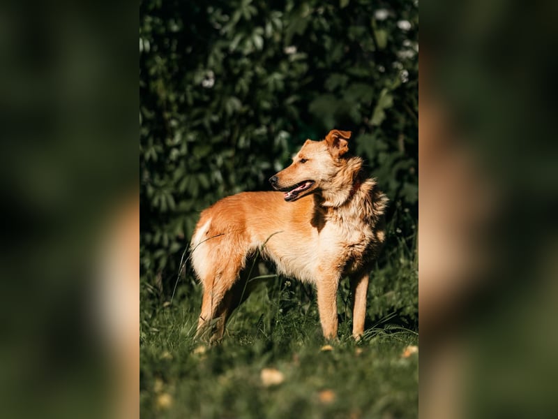 Wunderbare Dina sucht ihre Familie