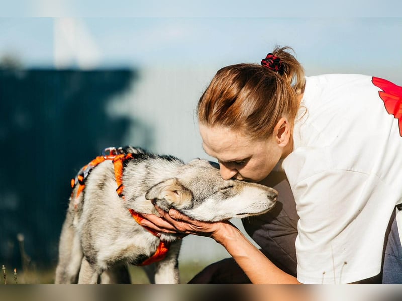 Schüchterne Beja sucht liebevolles Zuhause