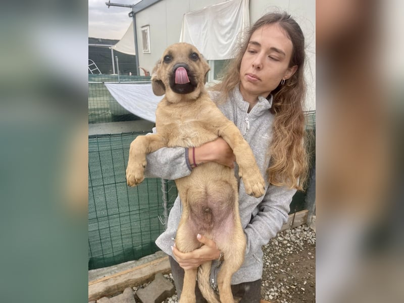 Snoop – kleiner Sonnenschein auf der Suche nach seinem Platz