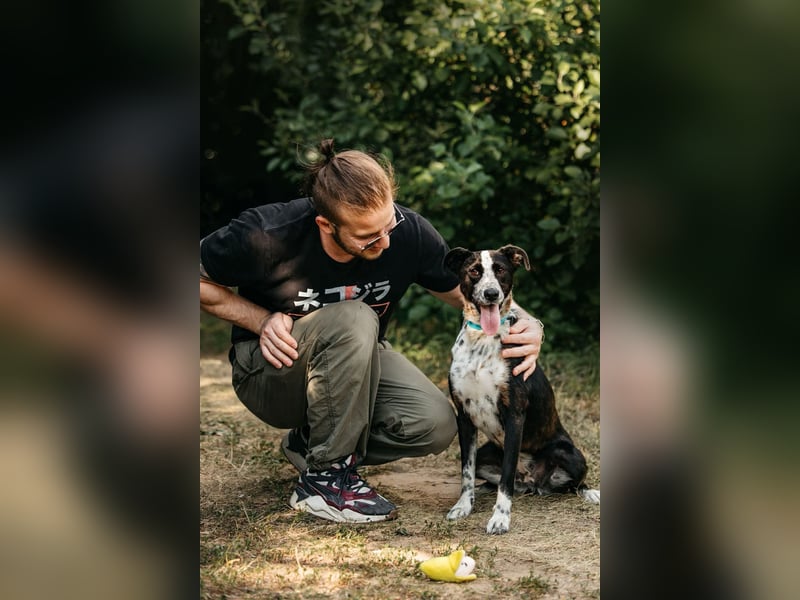 Fröhliche Bokki sucht ihr Zuhause  