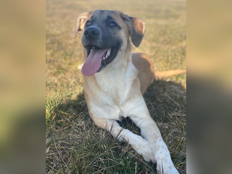 Pablo Mischling 4 Jahre