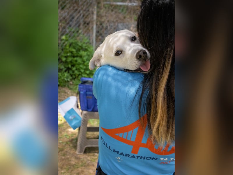 Amy, liebevolle Junghündin