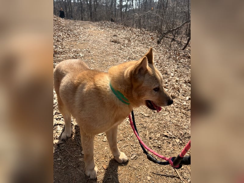 Bud, sanfter Gentleman