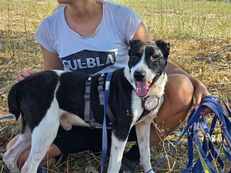 Jack - Lebensfreude pur trotz Handicap