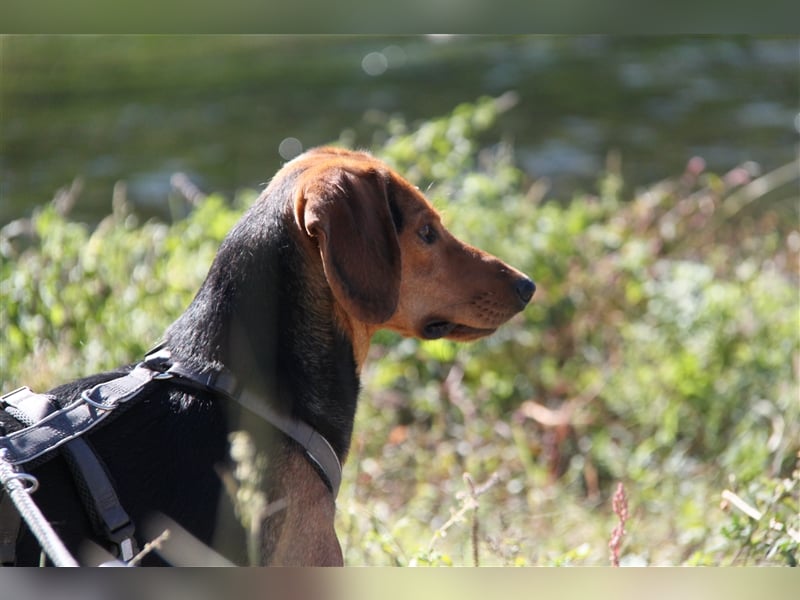 Donn – Mr. Happiness