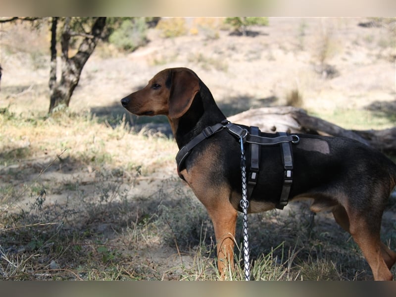 Donn – Mr. Happiness