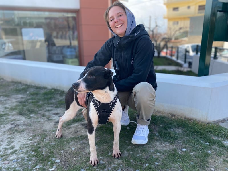 Kuschelprofi mit Abenteuerlust - das ist Jack!