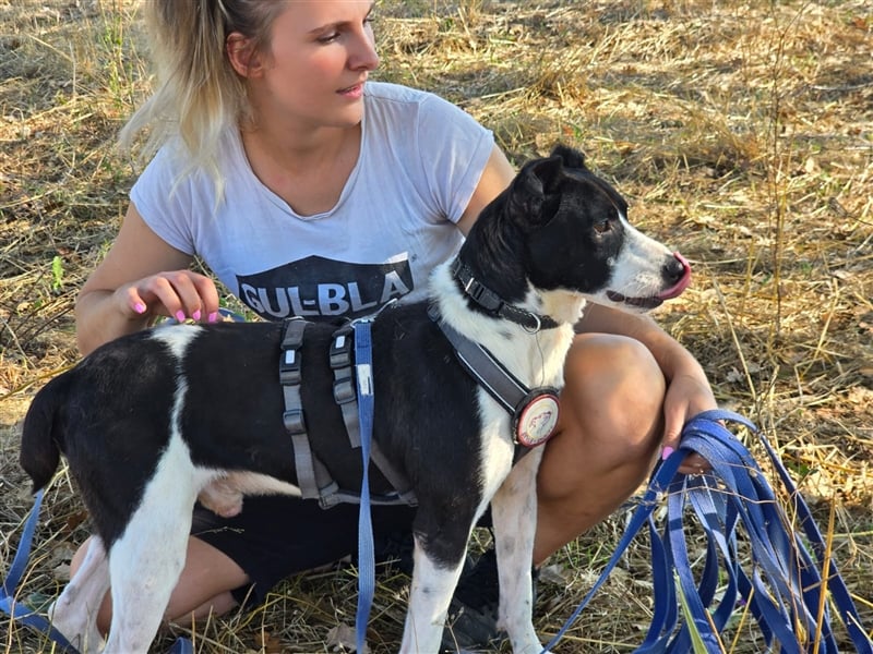 Jack - Lebensfreude pur trotz Handicap