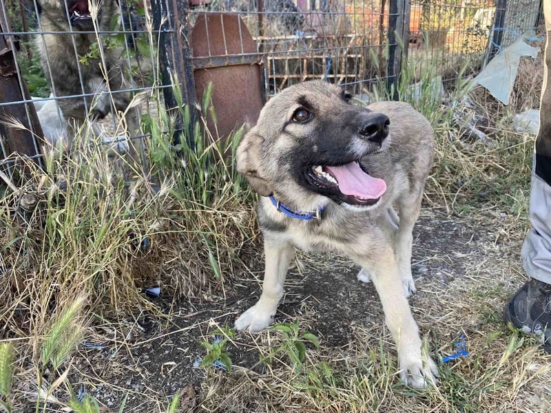 Schaut euch unseren lieben Schatz Bobos an!