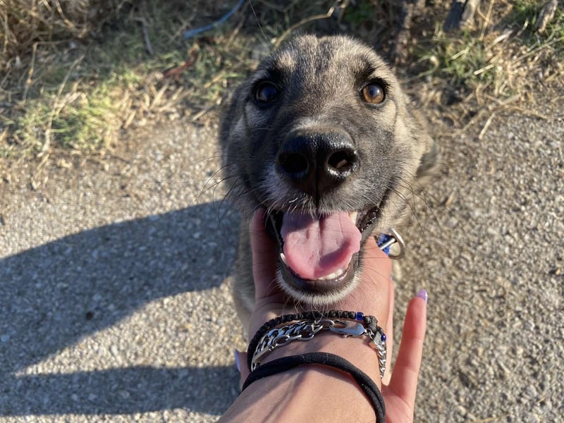 Schaut euch unseren lieben Schatz Bobos an!