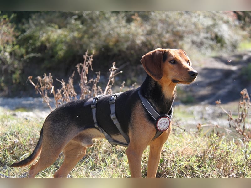 Donn – Mr. Happiness