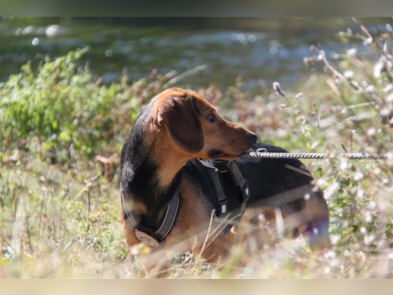 Donn – Mr. Happiness