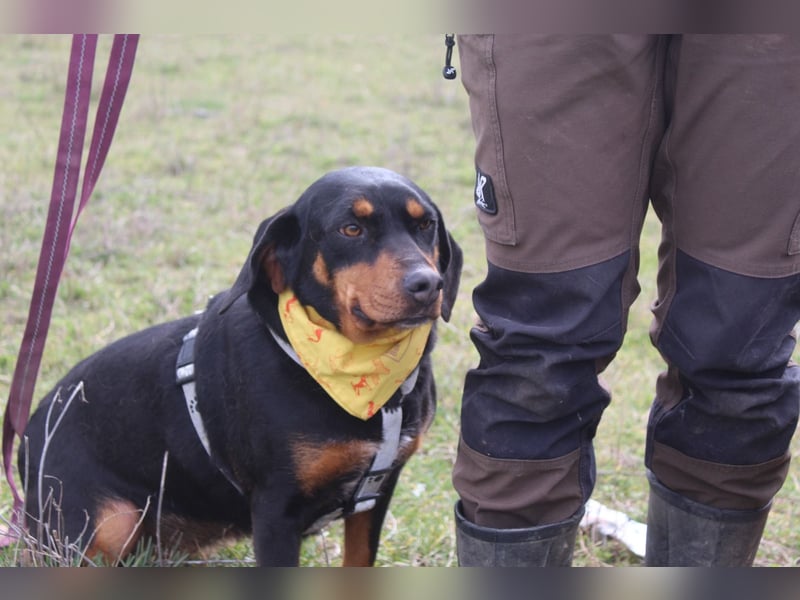 Lisa – wilde Wurzeln, weiches Herz