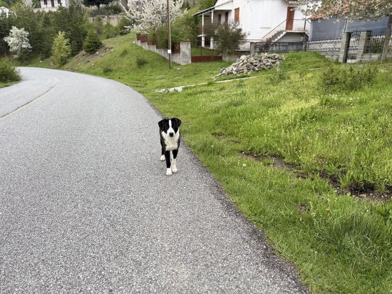 Meadow wünscht sich eine Familie
