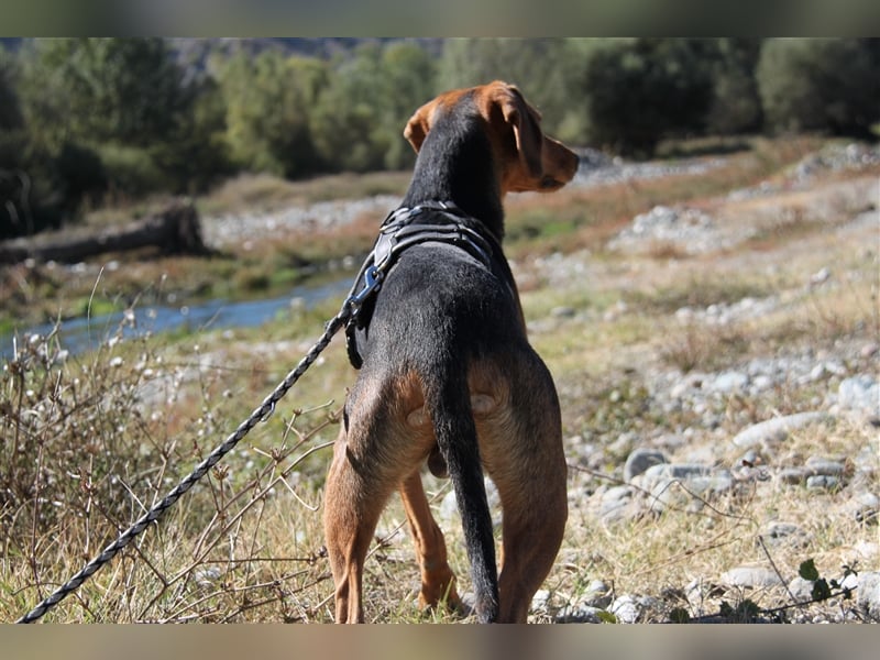 Donn – Mr. Happiness