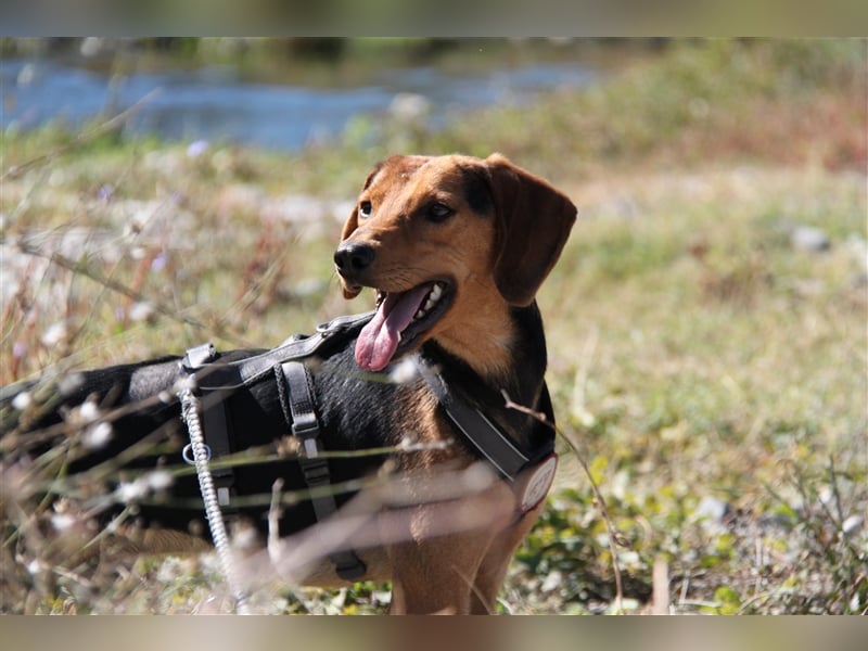 Donn – Mr. Happiness